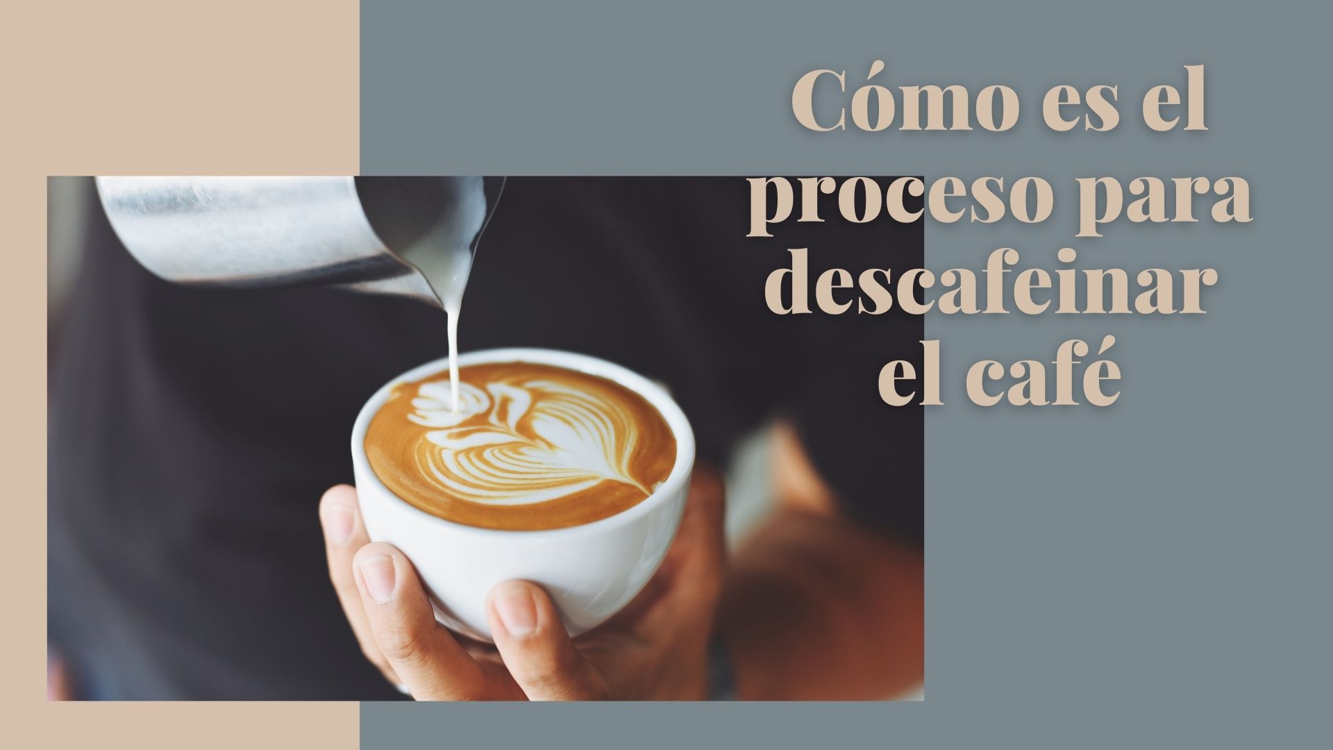 ¿Qué es resto café? | Como Cocinar y Comer